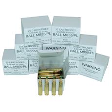 DS Arms 5.56X45 MM NATO Ammunition - 62 Gr. Steel Core - 200 Round Shooter Pack - 10 Boxes